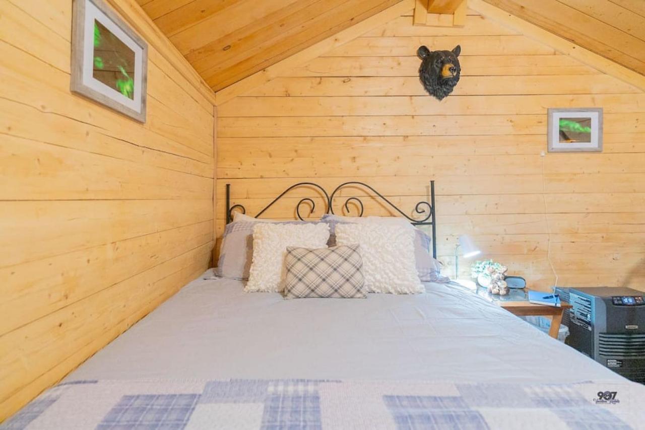 Studio Log Dry Cabin| Aurora Views! Fairbanks Luaran gambar