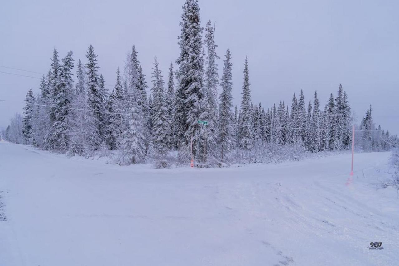 Studio Log Dry Cabin| Aurora Views! Fairbanks Luaran gambar